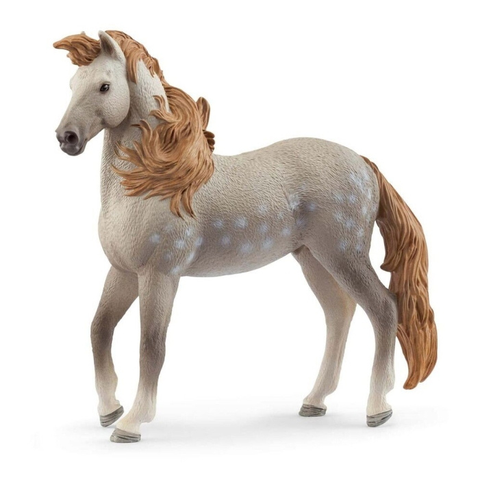 Schleich Andalusisk hingst - (14895) i gruppen LEGETØJ, BØRN & BABY / Legetøj / Figurer, miniaturer og tilbehør hos TP E-commerce Nordic AB (D15330)