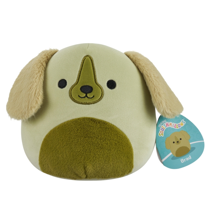 Squishmallows 19 cm plys P22 - Golden retrieveren Brad i gruppen LEGETØJ, BØRN & BABY / Babyleg (0-3 år) / Tøjdyr hos TP E-commerce Nordic AB (D15363)