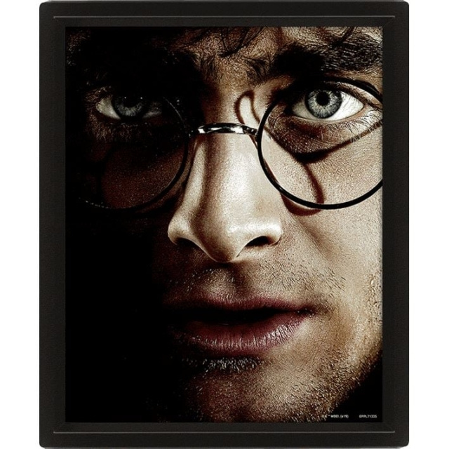 Pyramid International HARRY POTTER (HARRY VS VOLDEMORT) - INDRAMMET i gruppen SPORT, FRITID & HOBBY / Sjove gadgets / Samlergenstande hos TP E-commerce Nordic AB (D15438)