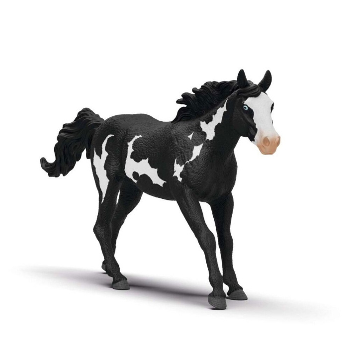 Schleich Paint Horse vallak - (14900) i gruppen LEGETØJ, BØRN & BABY / Legetøj / Figurer, miniaturer og tilbehør hos TP E-commerce Nordic AB (D15685)