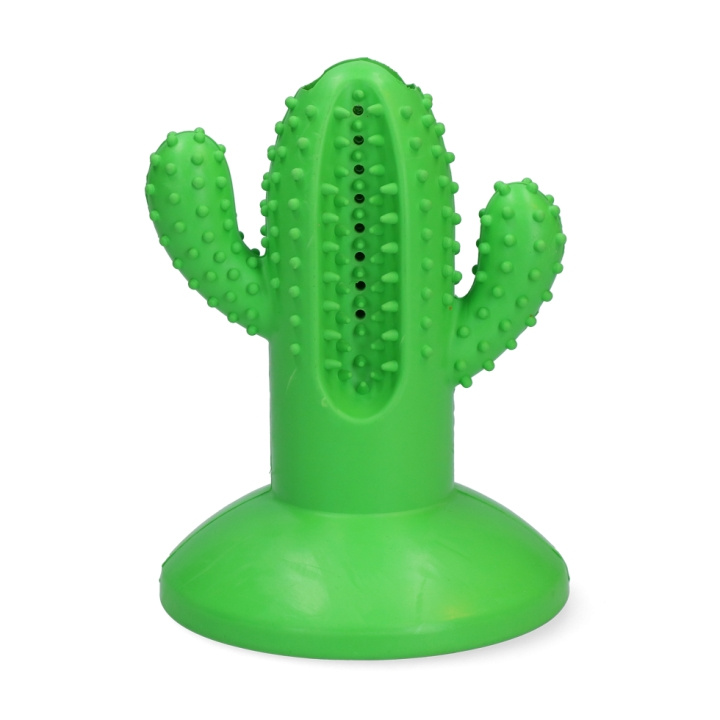 AFP Dental Cactus Large Green 15cm - (AFPH04198) i gruppen HJEM, HUS & HAVE / Tilbehør til dyr / Hund hos TP E-commerce Nordic AB (D16824)
