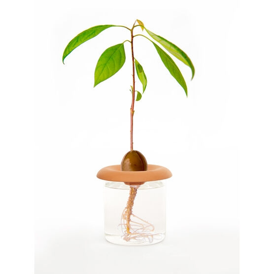 Kikkerland Terracotta - Frøspirer (CD535) i gruppen SPORT, FRITID & HOBBY / Sjove gadgets / Smarte løsninger hos TP E-commerce Nordic AB (D16959)
