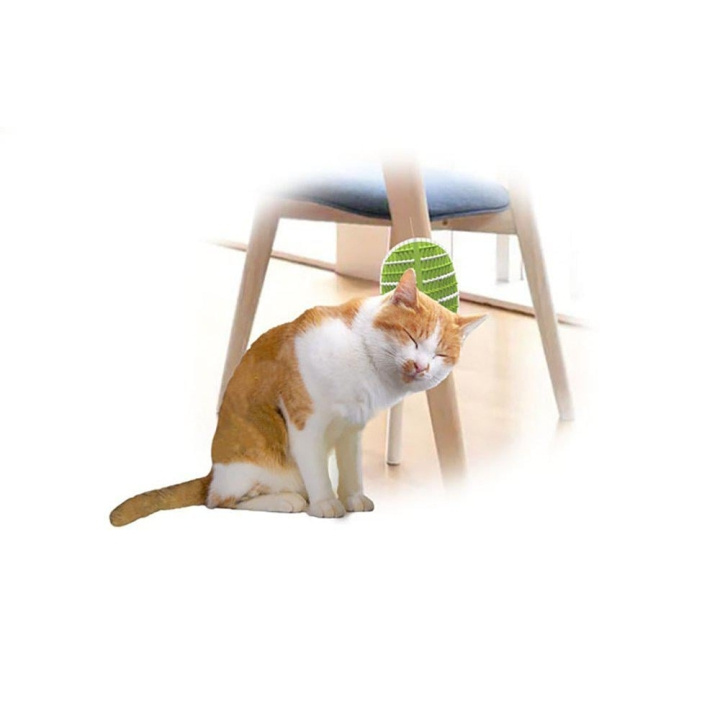 AFP All For Paws - Groomer 2 In 1 20.3X11X2,2Cm - (781.1025) i gruppen HJEM, HUS & HAVE / Tilbehør til dyr / Kat hos TP E-commerce Nordic AB (D17139)