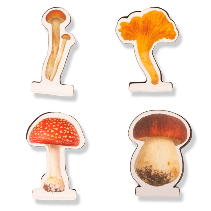 Kikkerland Mushroom magnetiske bogmærker - 2,75 cm x 3,5 cm x 0,25 cm i gruppen SPORT, FRITID & HOBBY / Sjove gadgets / Smarte løsninger hos TP E-commerce Nordic AB (D17603)