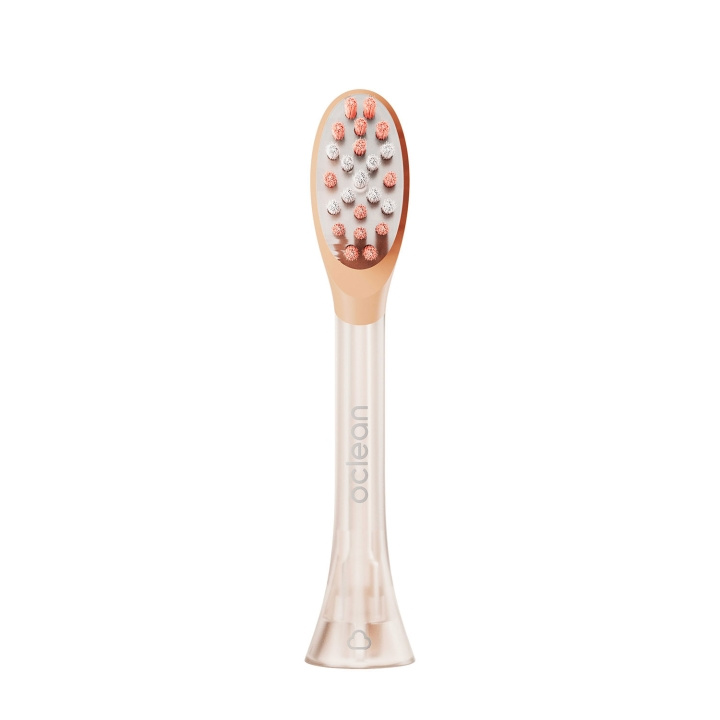 Oclean Brush Head Easy Clean 2 Pack Orange i gruppen SKØNHED & HELSE / Oral pleje / Tilbehør til elektriske tandbørster hos TP E-commerce Nordic AB (D18159)
