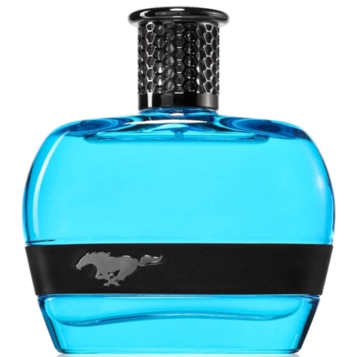 Ford Mustang Blue For Men Edt 100ml i gruppen SKØNHED & HELSE / Duft & Parfume / Parfume / Parfume til ham hos TP E-commerce Nordic AB (D18202)