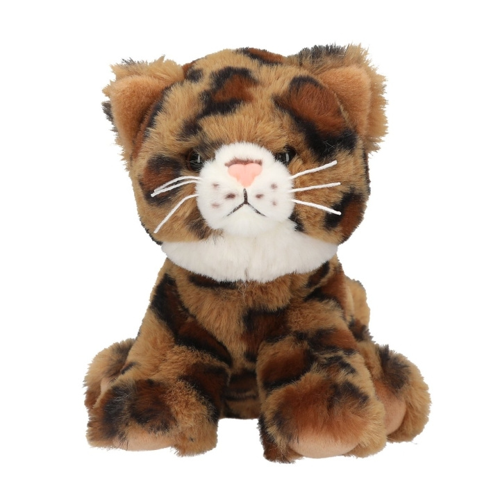 TOPModel TOPModel Pudekat Leo 16 cm - () i gruppen LEGETØJ, BØRN & BABY / Babyleg (0-3 år) / Tøjdyr hos TP E-commerce Nordic AB (D19100)
