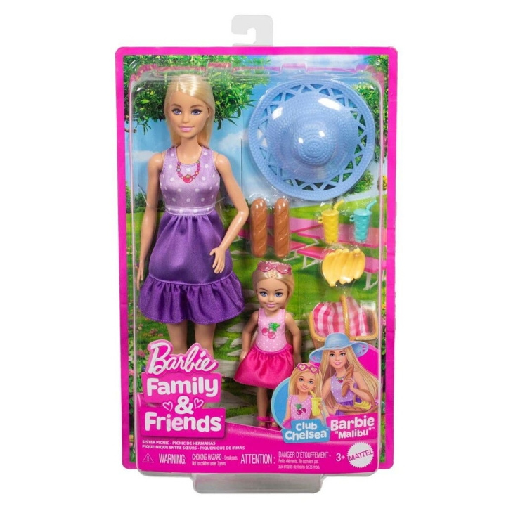 Barbie Malibu & Chelsea Core Dolls - (960-2504) i gruppen LEGETØJ, BØRN & BABY / Legetøj / Docks og tilbehør hos TP E-commerce Nordic AB (D19248)