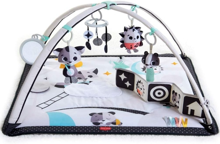 Tiny Love Gymini Magical Tales - (3333120594) i gruppen LEGETØJ, BØRN & BABY / Babyleg (0-3 år) / Aktivitetslegetøj hos TP E-commerce Nordic AB (D19584)