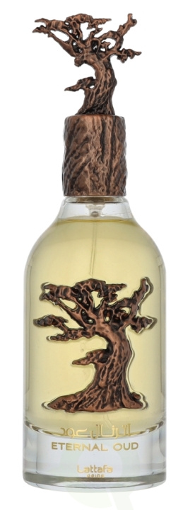 Lattafa Pride Eternal Oud Edp Spray 100 ml i gruppen SKØNHED & HELSE / Duft & Parfume / Parfume hos TP E-commerce Nordic AB (D19868)