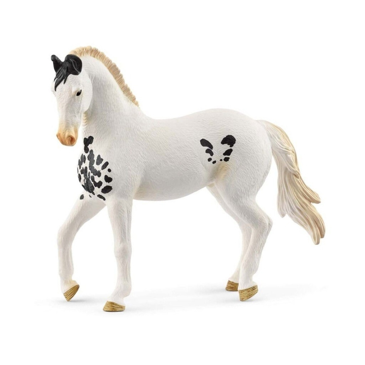 Schleich Marwari Stallion - (14898) i gruppen LEGETØJ, BØRN & BABY / Legetøj / Figurer, miniaturer og tilbehør hos TP E-commerce Nordic AB (D21523)