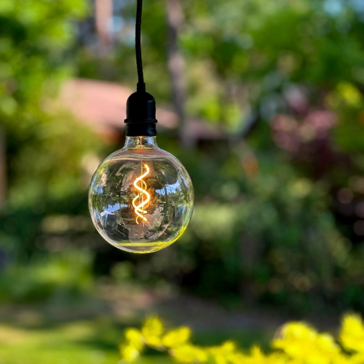 LightsOn Penny Pendellampa Gravity + DecoBulb XL Varmvit i gruppen HJEM, HUS & HAVE / Elektricitet & Belysning / Udendørs belysning hos TP E-commerce Nordic AB (D21637)