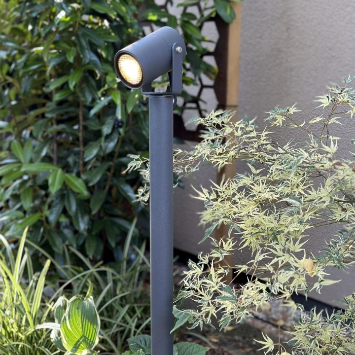 LightsOn Luna 65 Pollare/Trädgårdsspot 350 lm 5W 35° Grå i gruppen HJEM, HUS & HAVE / Elektricitet & Belysning / Udendørs belysning hos TP E-commerce Nordic AB (D21642)