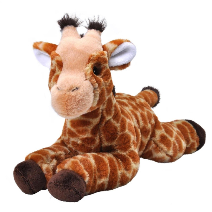 Wild Republic Plys Ecokins 30 cm Giraf i gruppen LEGETØJ, BØRN & BABY / Babyleg (0-3 år) / Tøjdyr hos TP E-commerce Nordic AB (D23142)