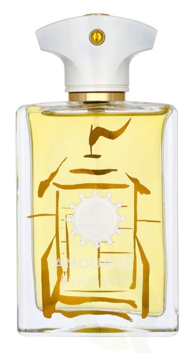 Amouage Beach Hut Man Edp Spray 100 ml i gruppen SKØNHED & HELSE / Duft & Parfume / Parfume / Parfume til ham hos TP E-commerce Nordic AB (D23498)