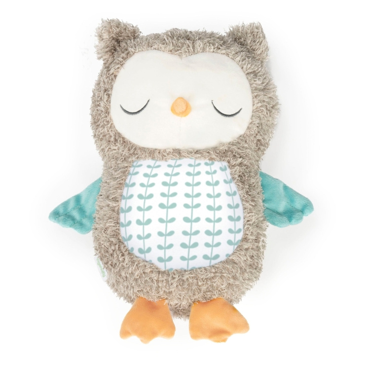 Ingenuity Snuggle Sounds Nally beroligende plyslegetøj (IN-12477) i gruppen LEGETØJ, BØRN & BABY / Babyleg (0-3 år) / Tøjdyr hos TP E-commerce Nordic AB (D24274)