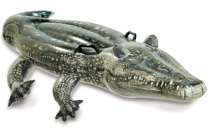 INTEX Realistic Gator Ride-On (657551) i gruppen LEGETØJ, BØRN & BABY / Udeleg & Sport / Vandleg, bad og strand hos TP E-commerce Nordic AB (D24520)