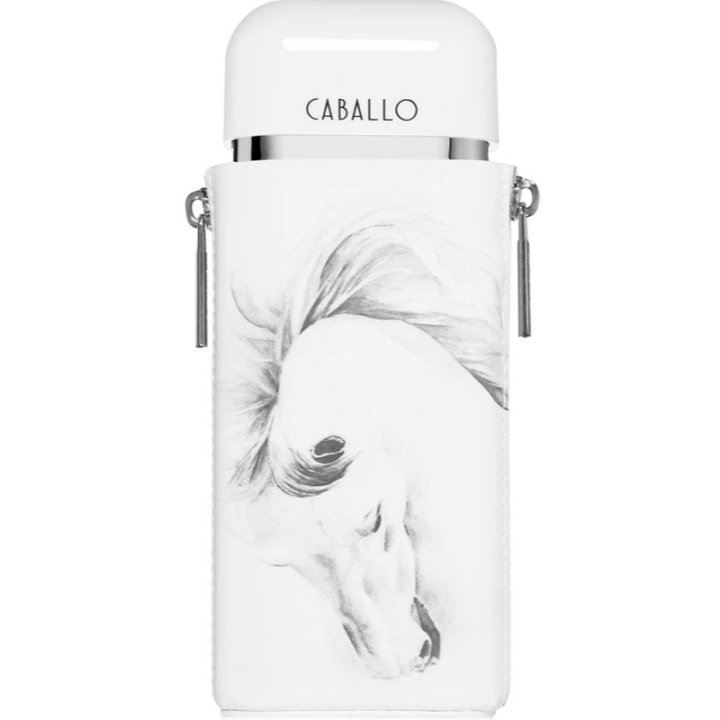 Armaf Caballo Men Edp 100ml i gruppen SKØNHED & HELSE / Duft & Parfume / Parfume / Parfume til ham hos TP E-commerce Nordic AB (D25144)