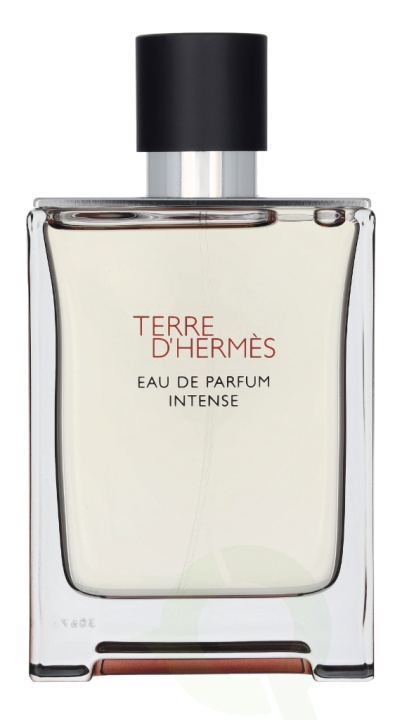 Hermes Terre D\'Hermes Eau Intense Parfum Spray 100 ml i gruppen SKØNHED & HELSE / Duft & Parfume / Parfume / Parfume til ham hos TP E-commerce Nordic AB (D25484)