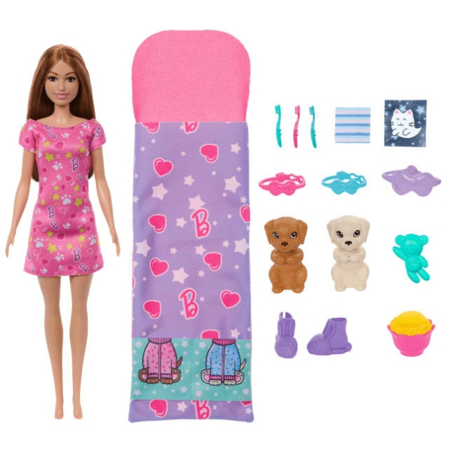 Barbie Hvalpepyjamas-fest (HXN01) i gruppen LEGETØJ, BØRN & BABY / Legetøj / Docks og tilbehør hos TP E-commerce Nordic AB (D27711)