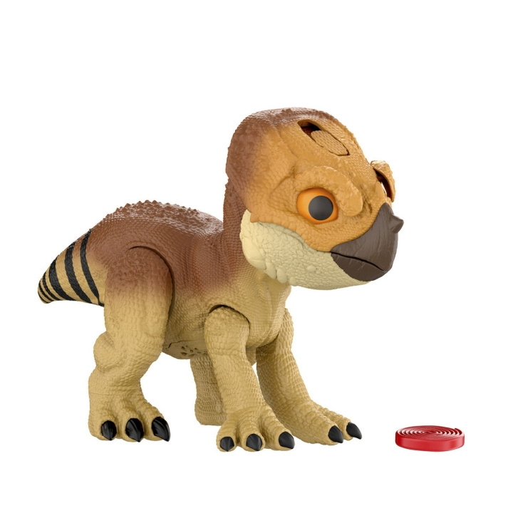 Jurassic World Rebirth Tame \'n Train Dolores (JGC01) i gruppen LEGETØJ, BØRN & BABY / Legetøj / Figurer, miniaturer og tilbehør hos TP E-commerce Nordic AB (D27883)
