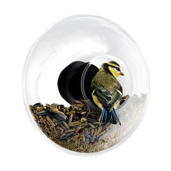 Eva Solo - Bird Feeder til vinduer - klart glas og frostsikkert i gruppen SPORT, FRITID & HOBBY / Sjove gadgets / Sjove gadgets hos TP E-commerce Nordic AB (D28901)