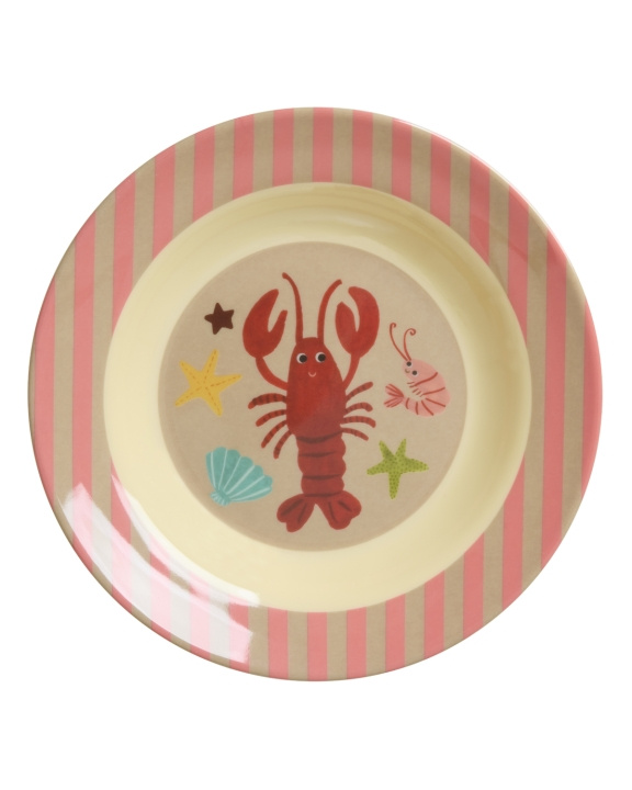 RICE Skål til børn i melamin - Coral Ocean - 250 ml i gruppen LEGETØJ, BØRN & BABY / Mad & Drikke / Børnebestik og tallerkener hos TP E-commerce Nordic AB (D29805)