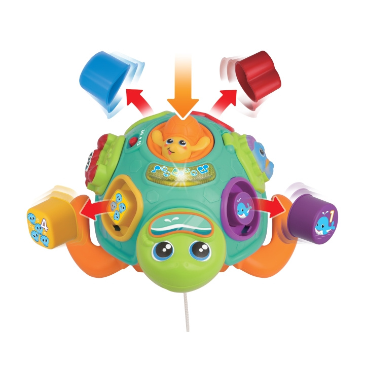 WINFUN Træk Sort \'N Lær-skildpadde med (240301-NL) i gruppen LEGETØJ, BØRN & BABY / Babyleg (0-3 år) / Aktivitetslegetøj hos TP E-commerce Nordic AB (D30029)