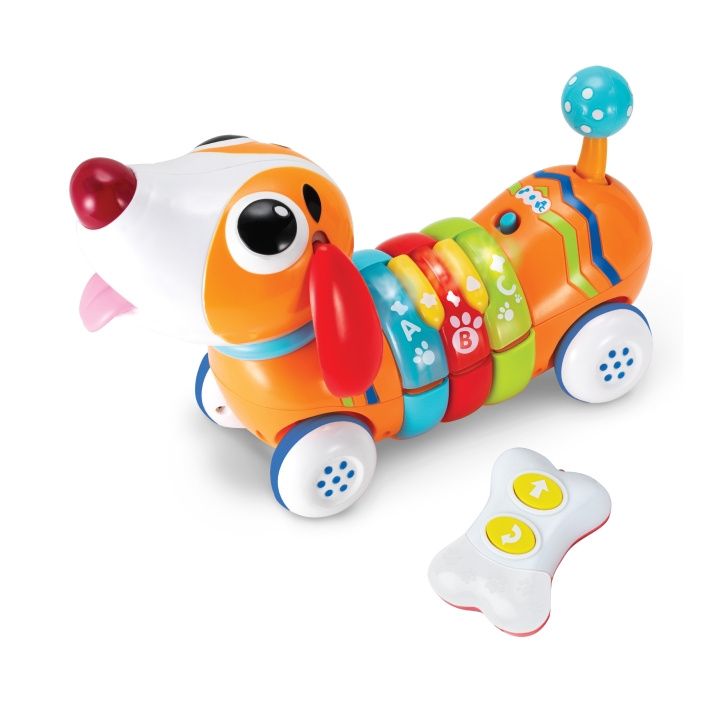 WINFUN R/C Rainbow Pup (1142-NL) i gruppen LEGETØJ, BØRN & BABY / Radiostyrede / Andet hos TP E-commerce Nordic AB (D30031)