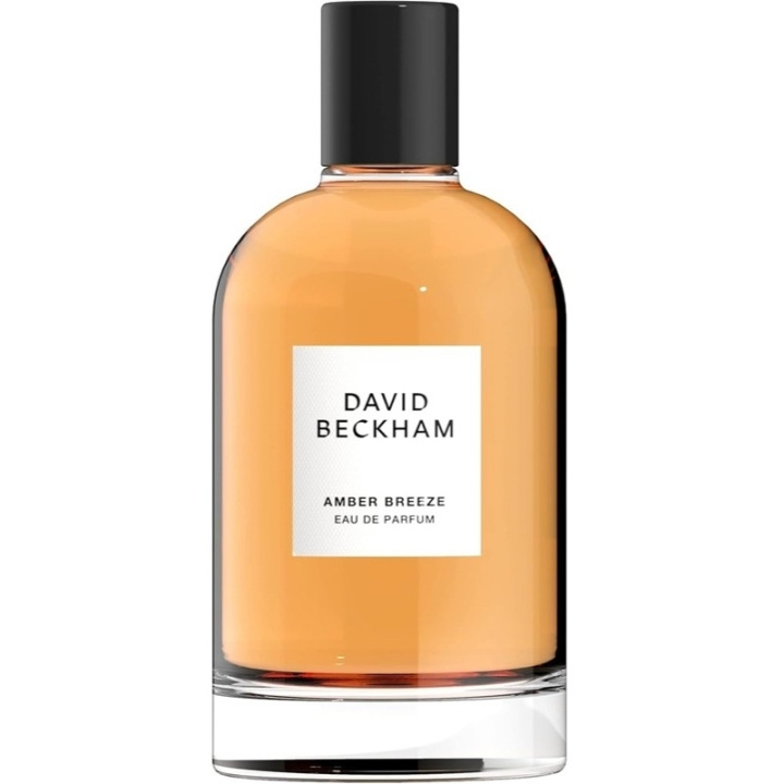David Beckham Amber Breeze Edp 50ml i gruppen SKØNHED & HELSE / Duft & Parfume / Parfume / Parfume til ham hos TP E-commerce Nordic AB (D30638)