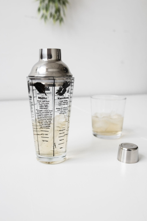 Kikkerland Mix Master Cocktail Shaker 16OZ (BA22) i gruppen HJEM, HUS & HAVE / Køkkenredskaber / Vin & Drink Tilbehør hos TP E-commerce Nordic AB (D31204)