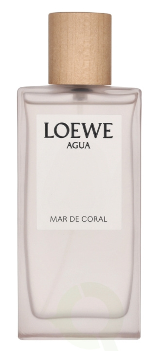 Loewe Agua Mar De Coral Edt Spray 100 ml i gruppen SKØNHED & HELSE / Duft & Parfume / Parfume hos TP E-commerce Nordic AB (D33064)