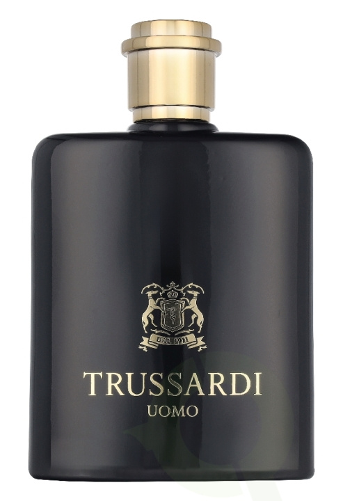 Trussardi Uomo 2011 Edt Spray 100 ml i gruppen SKØNHED & HELSE / Duft & Parfume / Parfume hos TP E-commerce Nordic AB (D33162)