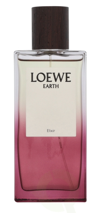 Loewe Earth Elixir Edp Spray 100 ml i gruppen SKØNHED & HELSE / Duft & Parfume / Parfume hos TP E-commerce Nordic AB (D34038)
