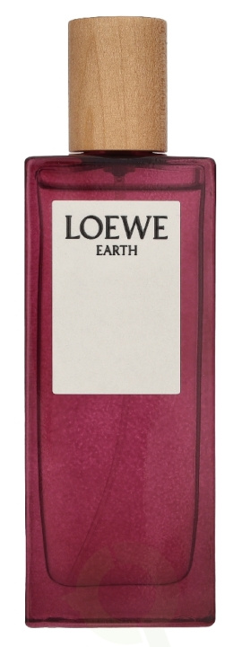 Loewe Earth Edp Spray 50 ml i gruppen SKØNHED & HELSE / Duft & Parfume / Parfume hos TP E-commerce Nordic AB (D34049)