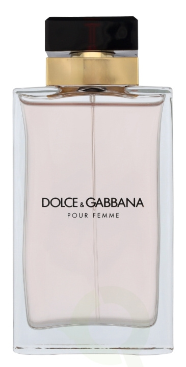 Dolce & Gabbana Pour Femme Edp Spray 100 ml i gruppen SKØNHED & HELSE / Duft & Parfume / Parfume / Parfume til hende hos TP E-commerce Nordic AB (D34133)