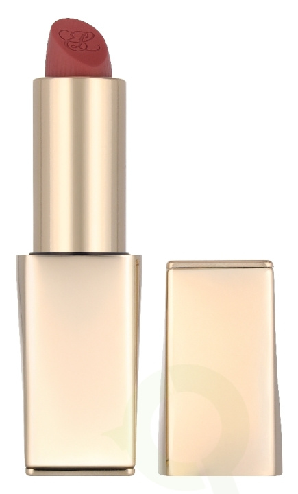 Estee Lauder Pure Color Matte Lipstick 3.5 g #828 i gruppen SKØNHED & HELSE / Makeup / Læber / Læbestift hos TP E-commerce Nordic AB (D35388)