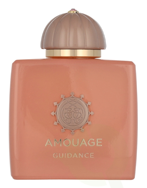 Amouage Guidance Edp Spray 100 ml i gruppen SKØNHED & HELSE / Duft & Parfume / Parfume / Parfume til hende hos TP E-commerce Nordic AB (D35461)