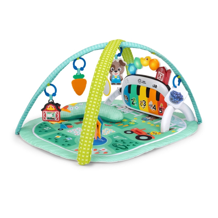 Baby Einstein 4-i-1 Kickin' Tunes™ Musical Meadow™ Musik- og sprogudviklingscenter (BE-17447) i gruppen LEGETØJ, BØRN & BABY / Babyleg (0-3 år) / Aktivitetslegetøj hos TP E-commerce Nordic AB (D37368)