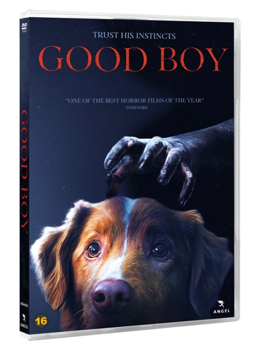 GOOD BOY (DVD) i gruppen HJEMMEELEKTRONIK / Lyd & billede / Tv og tilbehør / Film / DVD hos TP E-commerce Nordic AB (D38107)