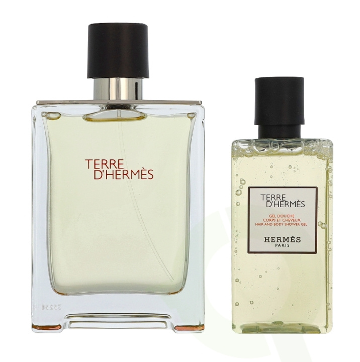 Hermes Terre D\'Hermes Giftset 180 ml Edt Spray 100 ml / Shower Gel 80 ml i gruppen SKØNHED & HELSE / Duft & Parfume / Parfume / Parfume til ham hos TP E-commerce Nordic AB (D40955)