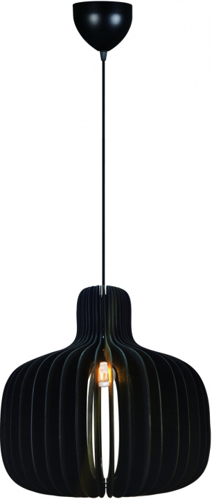 Nordlux Taklampa Hazo 43 Svart Nordlux i gruppen HJEMMEELEKTRONIK / Lys / Loftslamper hos TP E-commerce Nordic AB (D44446)