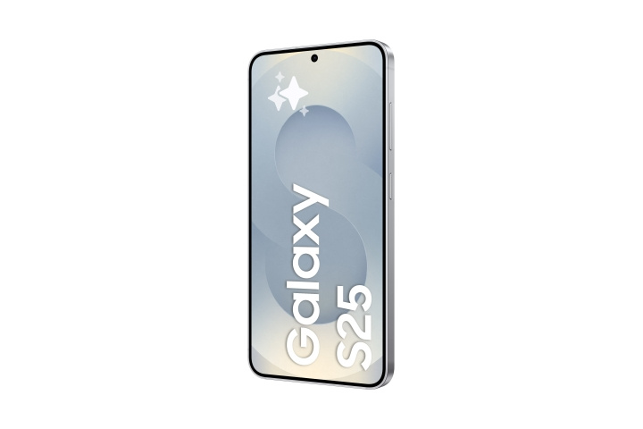 Samsung Galaxy S25 128 GB - Silver Shadow Samsung i gruppen SMARTPHONES & TABLETS / Mobiltelefoner & smartphones hos TP E-commerce Nordic AB (D45208)