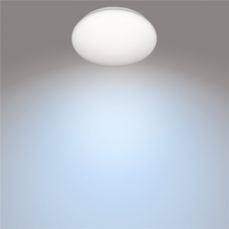 Philips CL200 Plafond 250mm 10W 1100lm