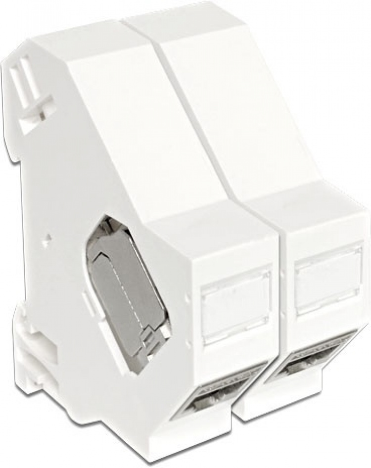 DeLOCK Keystone modulholder til montering på DIN-skinne, hvid