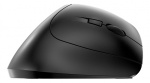 Ergonomic wireless mouse Black Ergonomic wireless mouse Black
