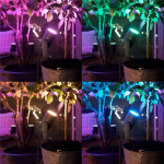 Philips Hue Lily White/Color Startkit