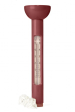 Queen Anne Celsius Badtermometer Röd