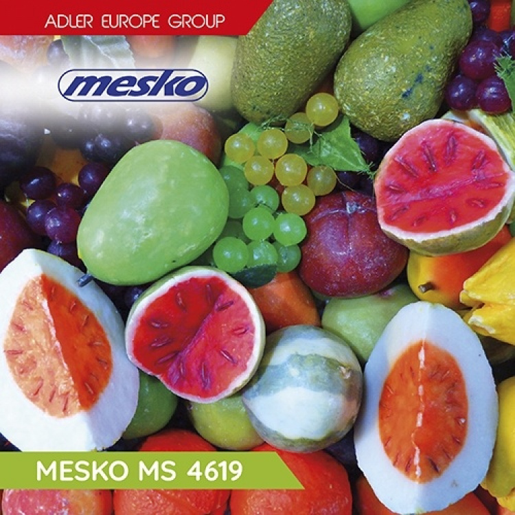 Mesko MS 4619 Stavblender