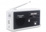 Multifunktionel landevejsradio med LED-lys - FM-radio, USB, Solcell, Dynamo RD626